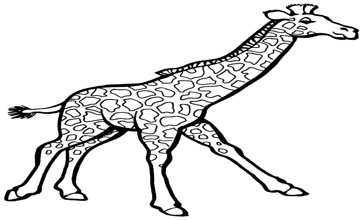Jerapah