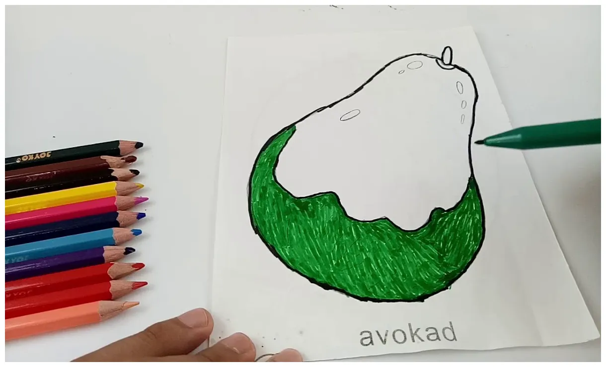 Gambar Mewarnai Buah Alpukat