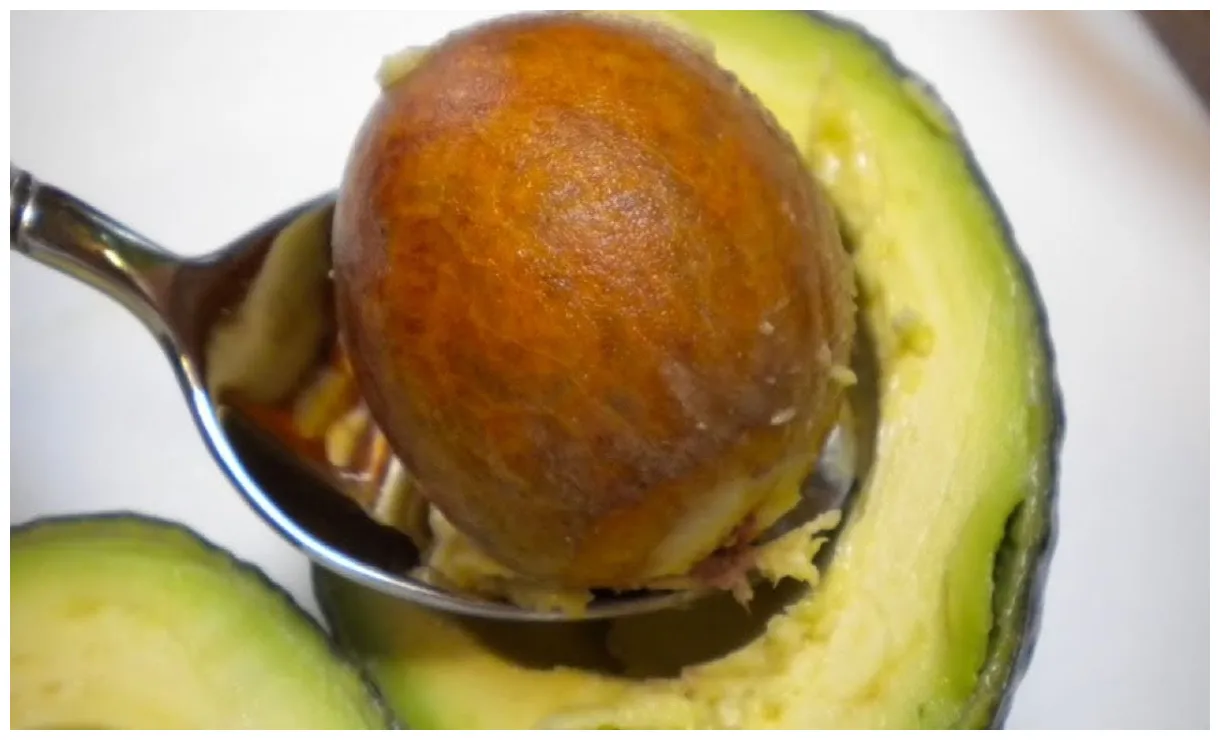 Cara Alami Mewarnai Pakaian dengan Alpukat dan Bawang | MY24 HOURS
