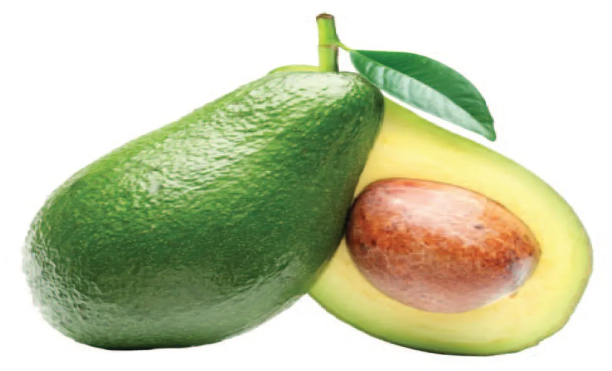Gambar Mewarnai Buah Alpukat