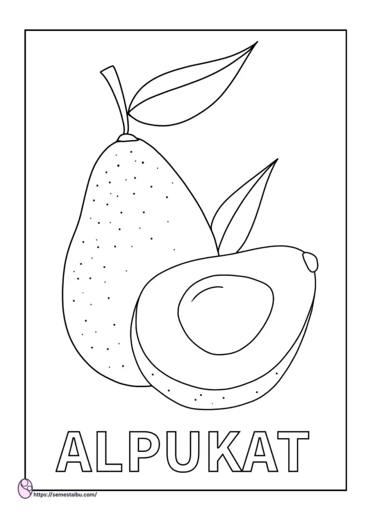 Gambar Mewarnai Buah: Alpukat