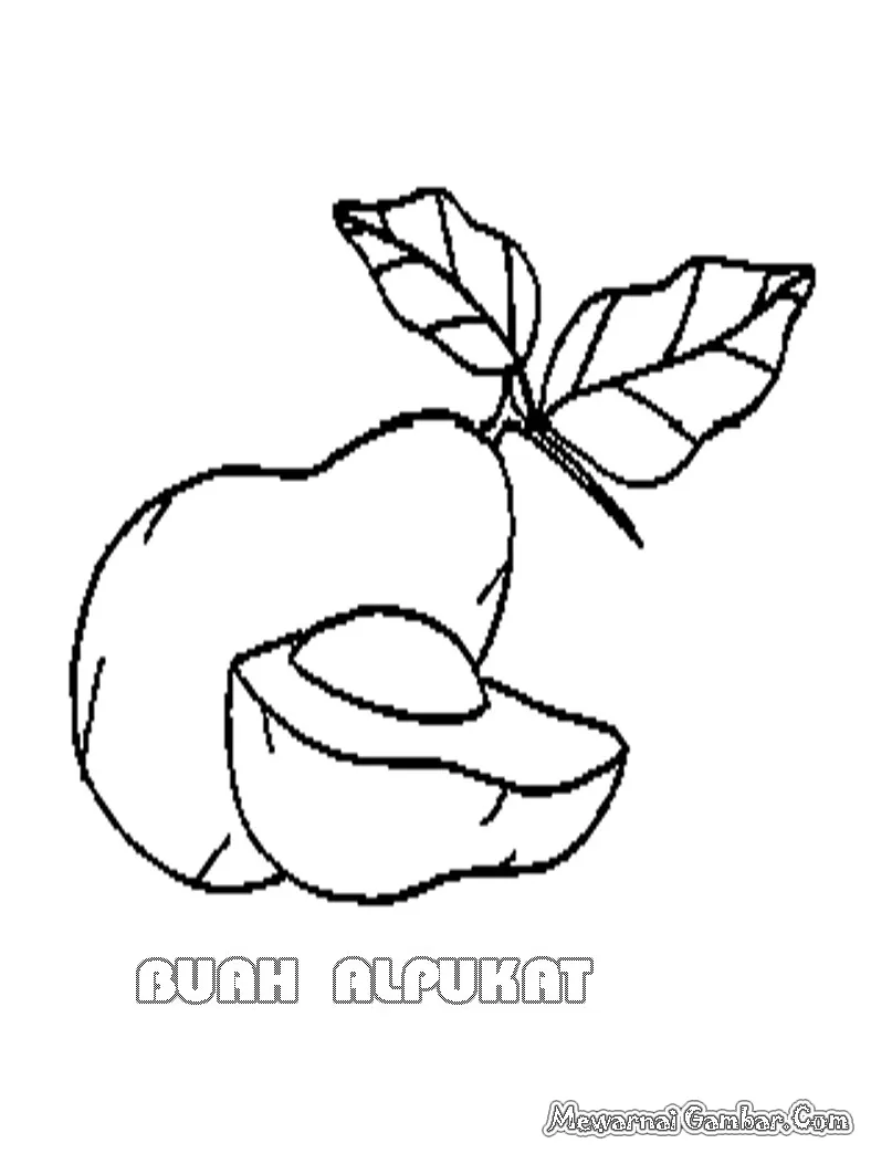 Gambar Sketsa Buah Alpukat Gambar Mewarnai Gratis Apps di Rebanas - Rebanas