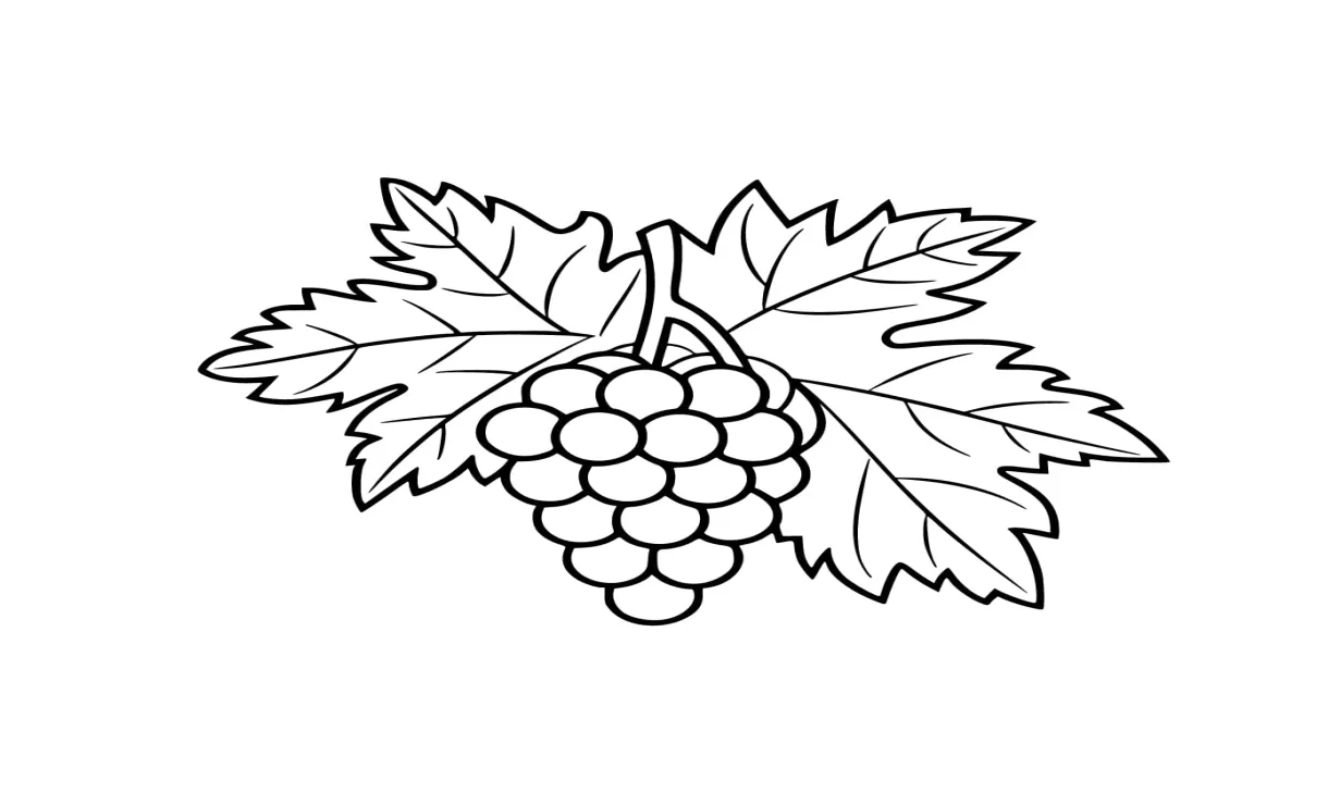 Anggur sederhana