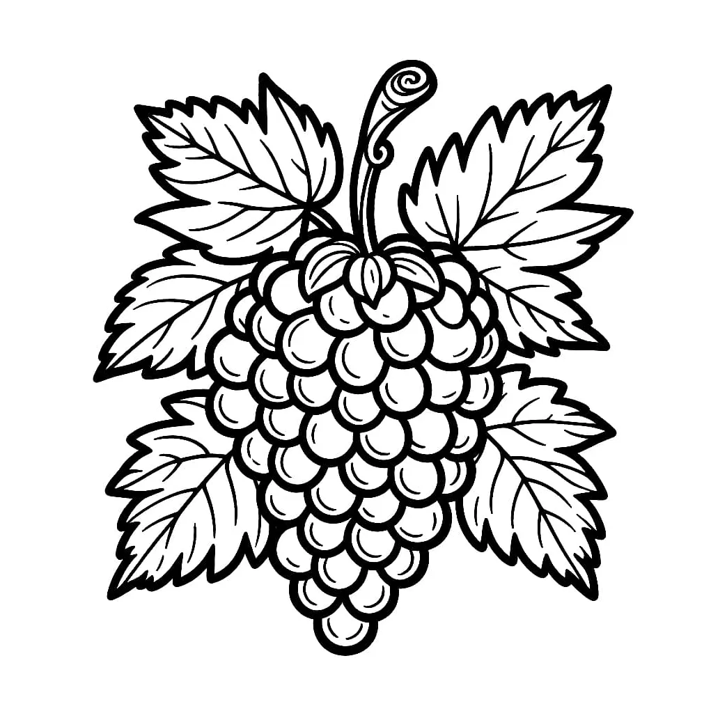 Sekumpulan anggur dan daun