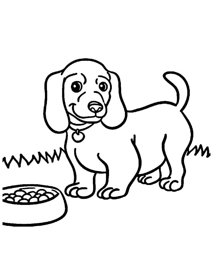 Menggambar Anjing dan Makanan