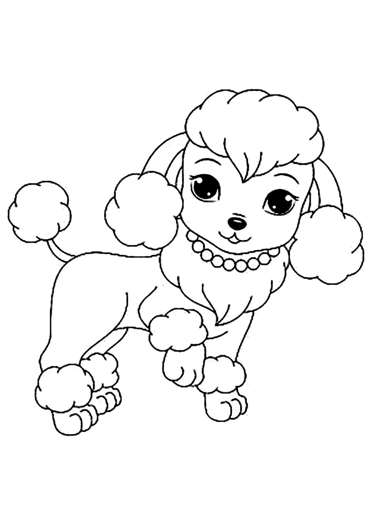 Anjing betina lucu