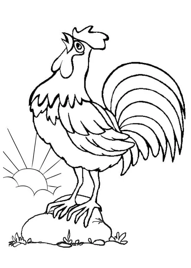 Ayam berkokok