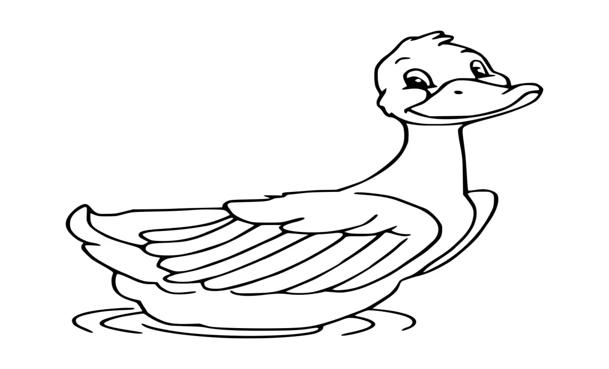 Bebek lucu berenang