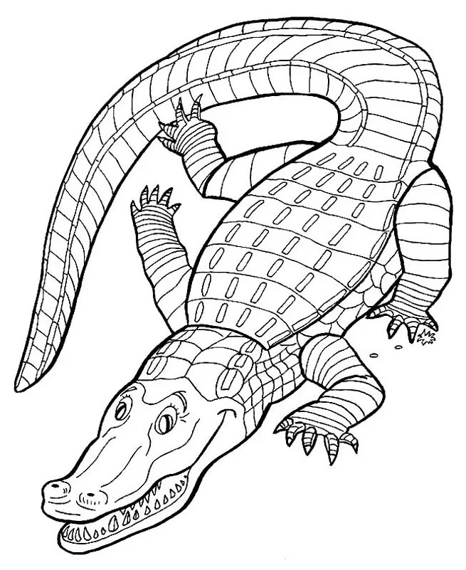 Buaya sederhana