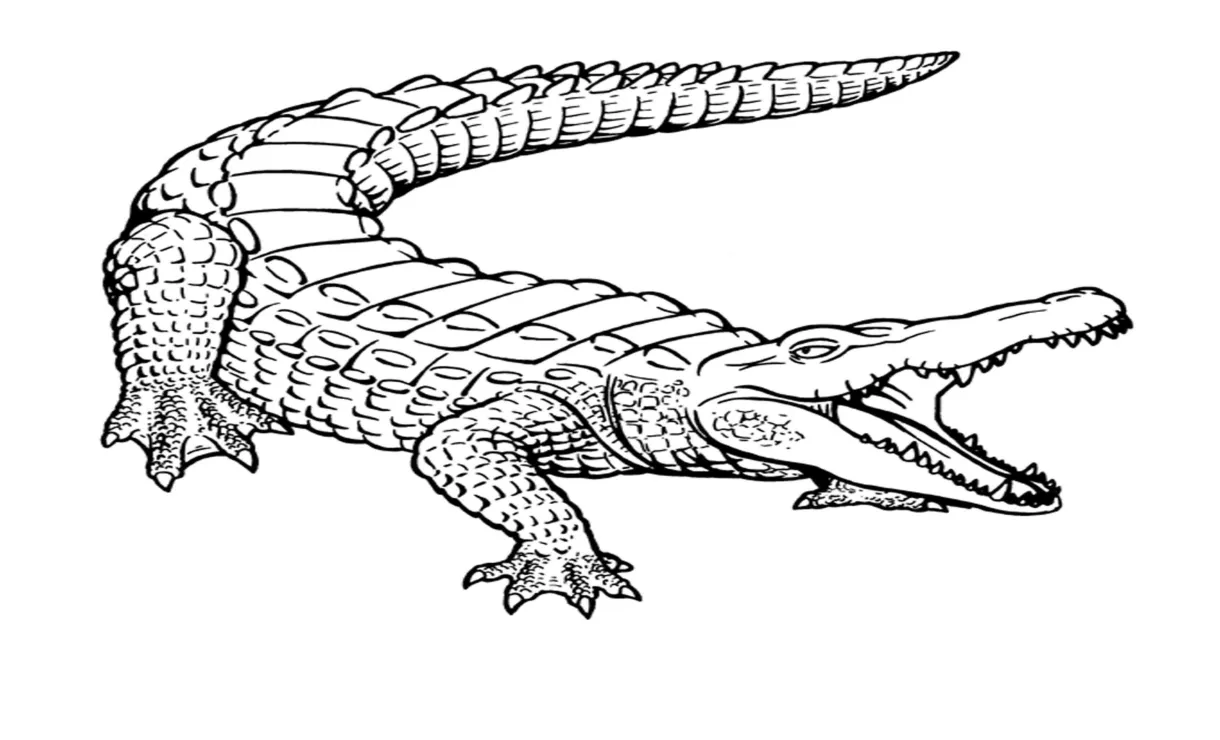 Buaya dasar