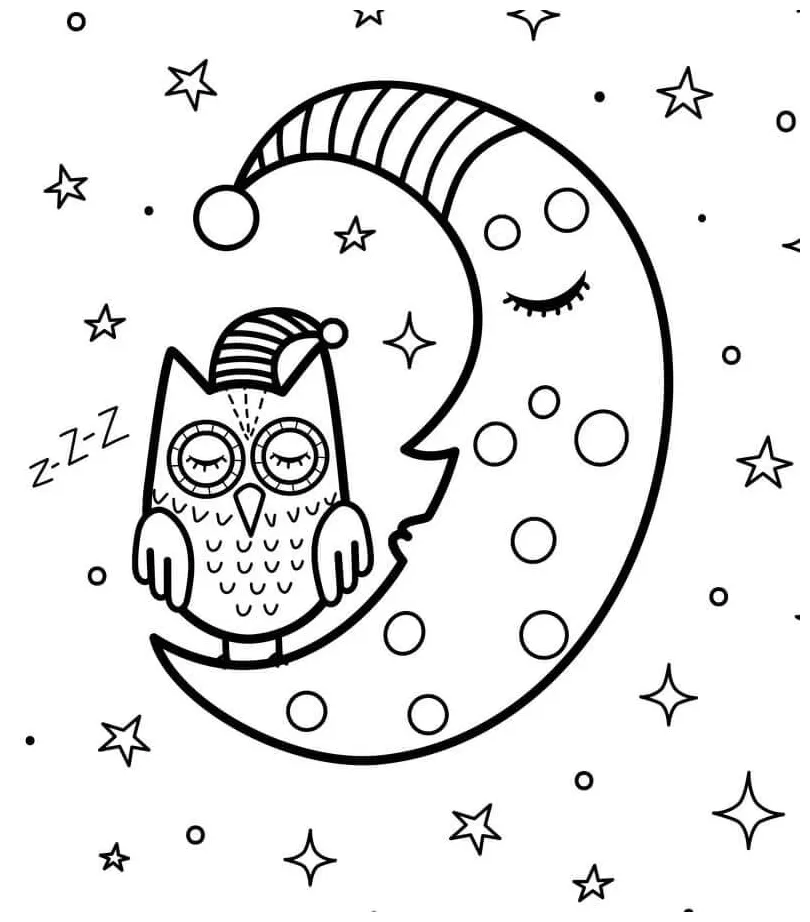 Burung hantu dan bulan