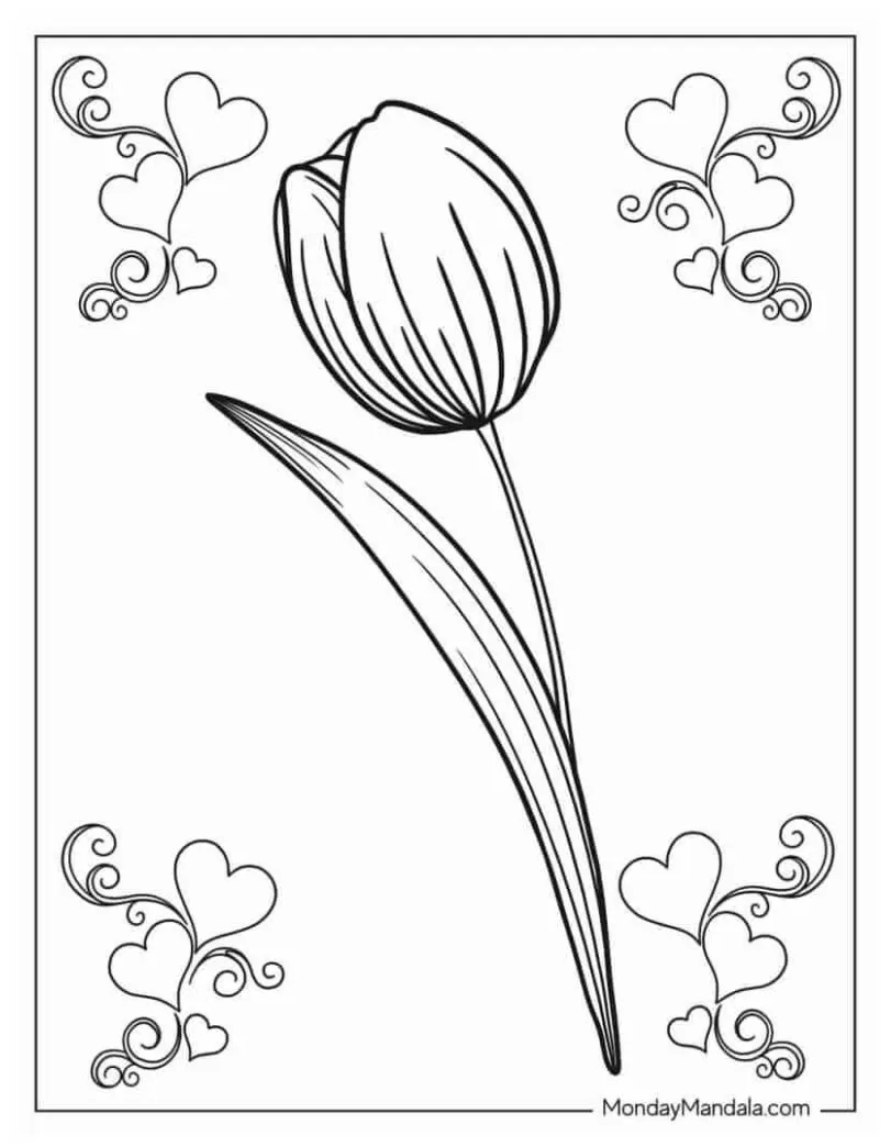 34 gambar yang indah & menarik inspirilo