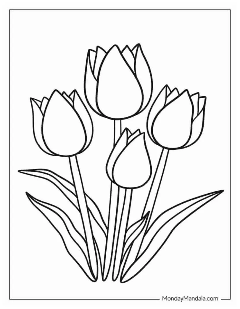 34 gambar yang indah & menarik inspirilo
