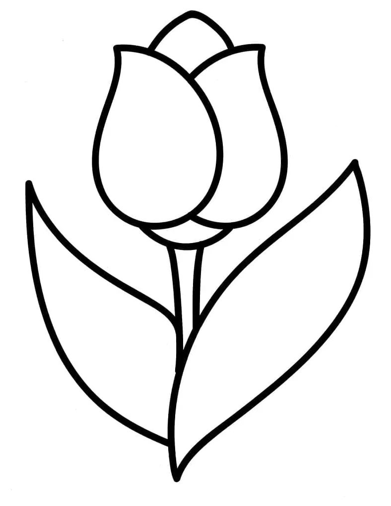 Bunga tulip sederhana