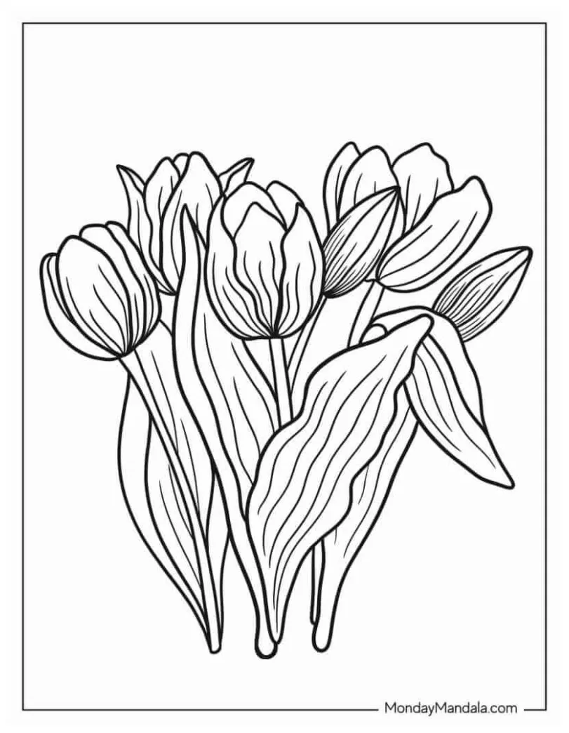 34 gambar yang indah & menarik inspirilo