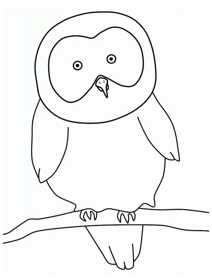 Burung hantu sederhana