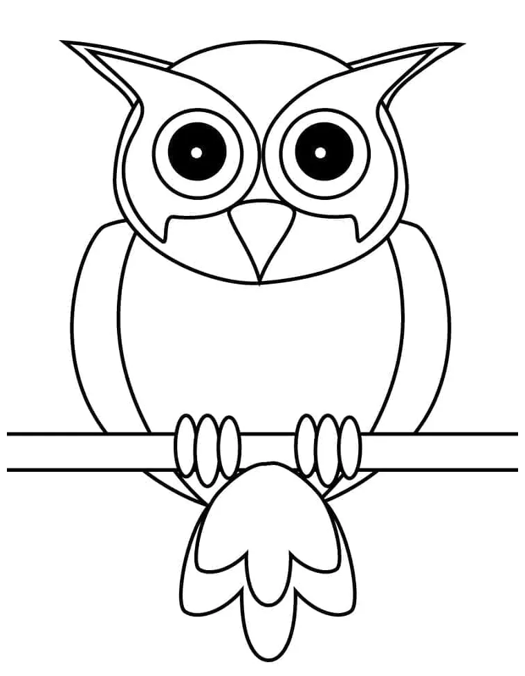 Burung hantu gratis