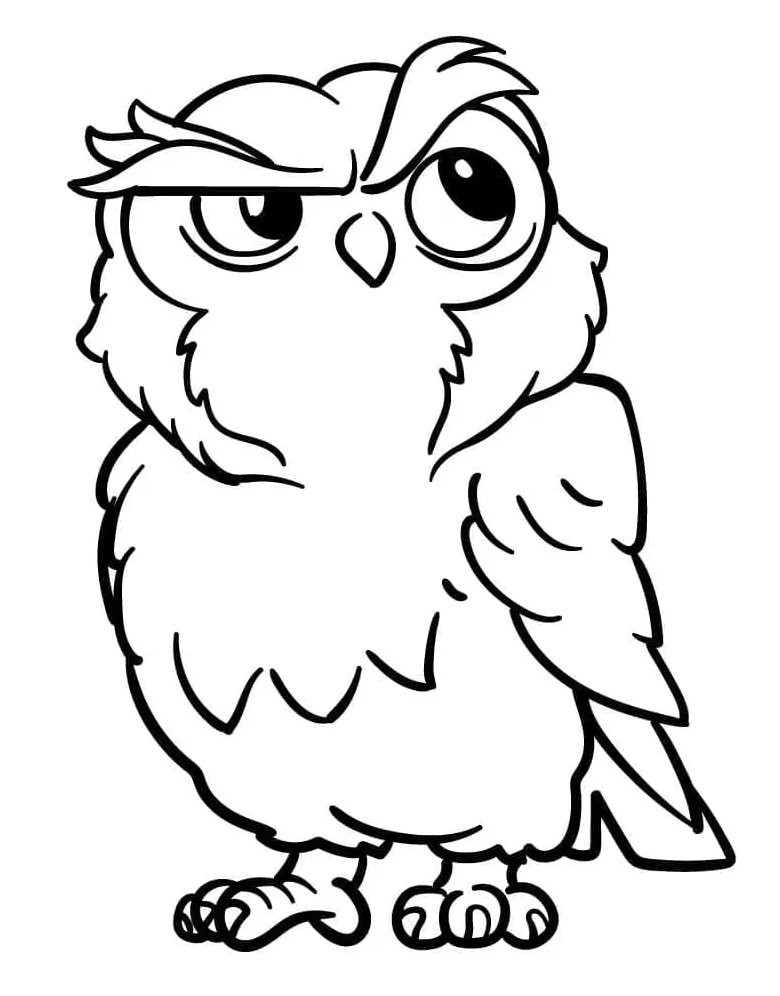 Burung hantu penasaran