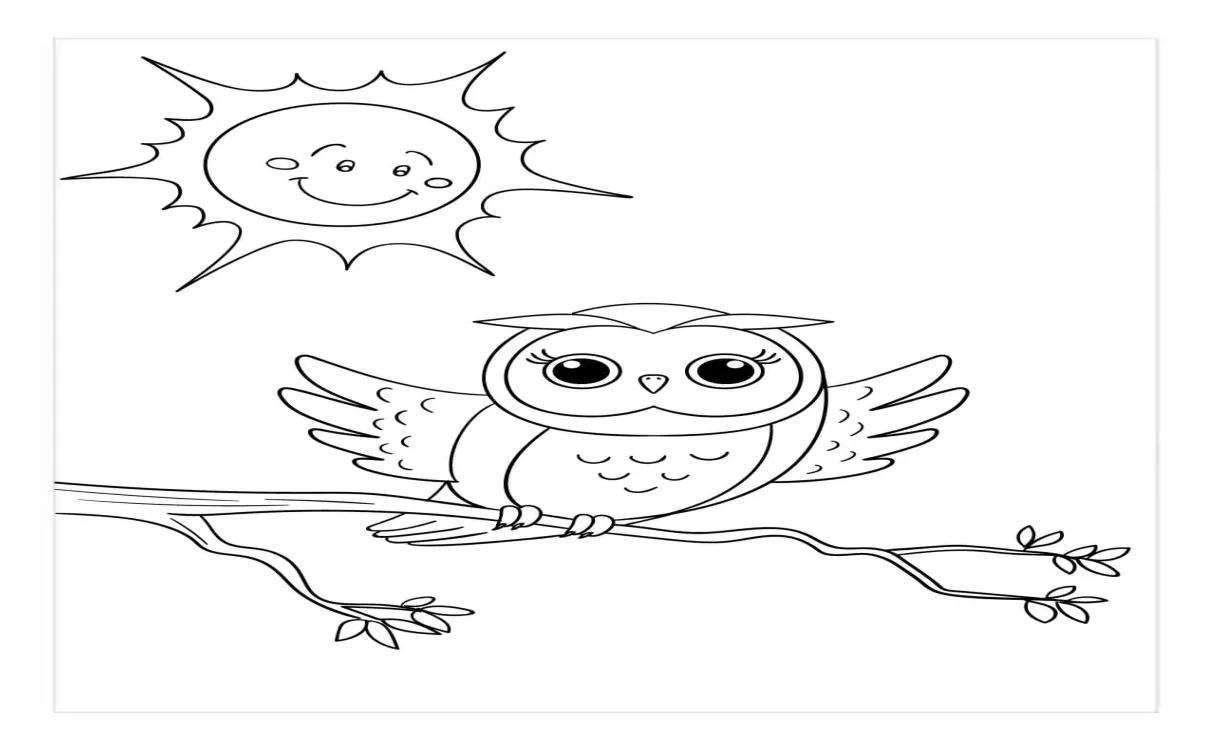 Burung hantu di matahari