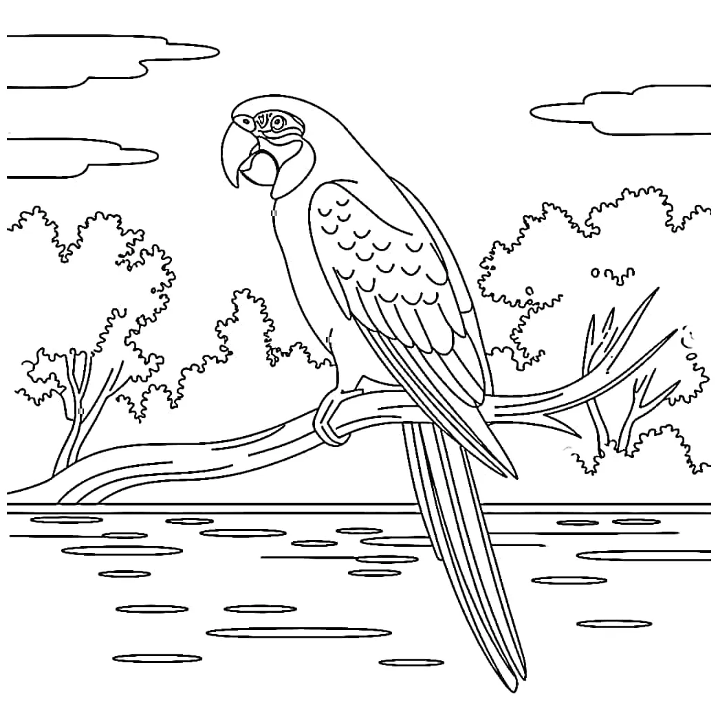 Burung beo di hutan