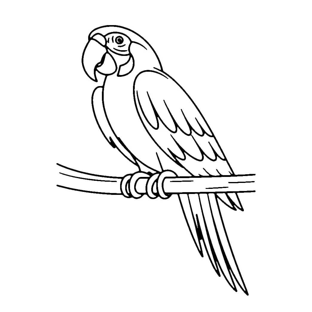 Burung beo