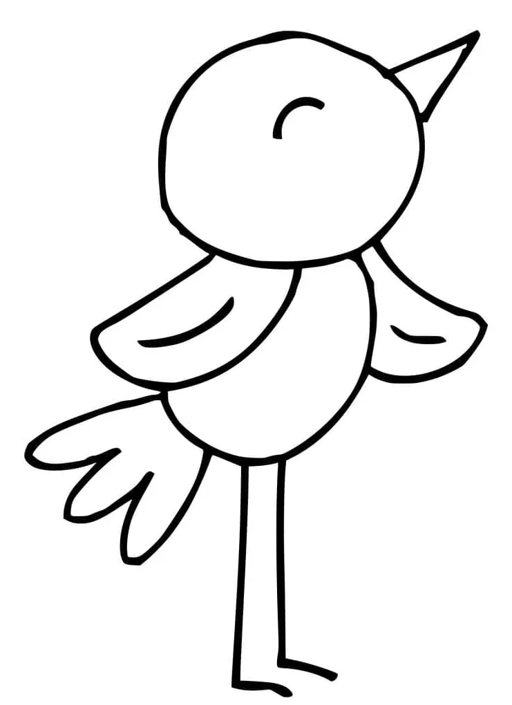Cantik burung