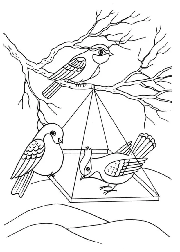 Tiga burung