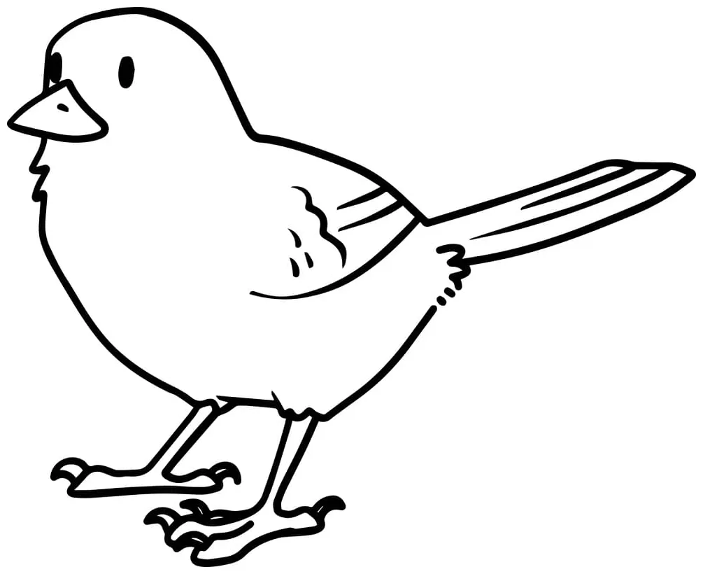 Burung cetak