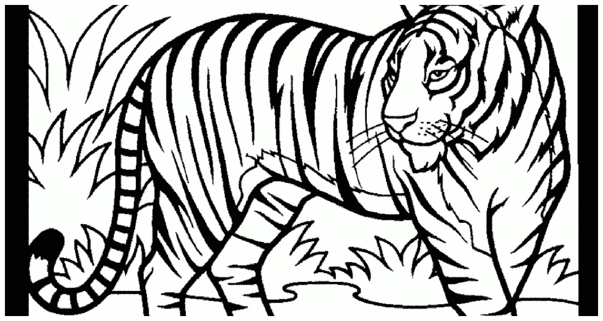Mewarnai gambar macan cabai riset