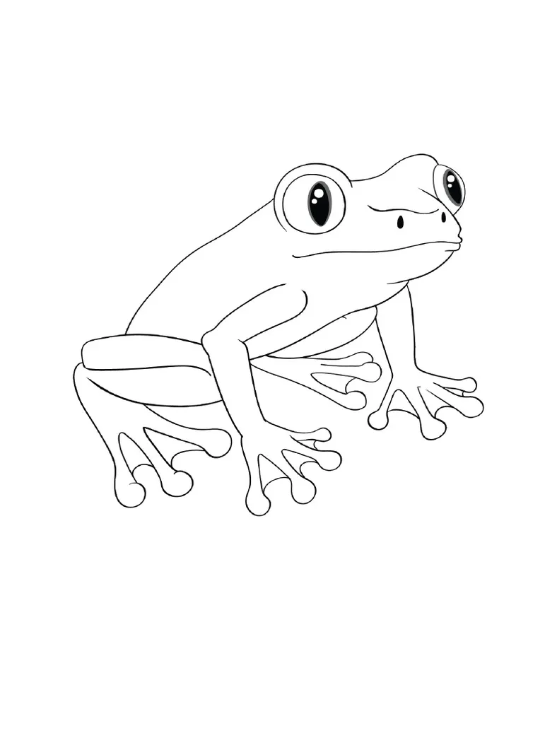 Gambar mewarnai katak coklat pdf