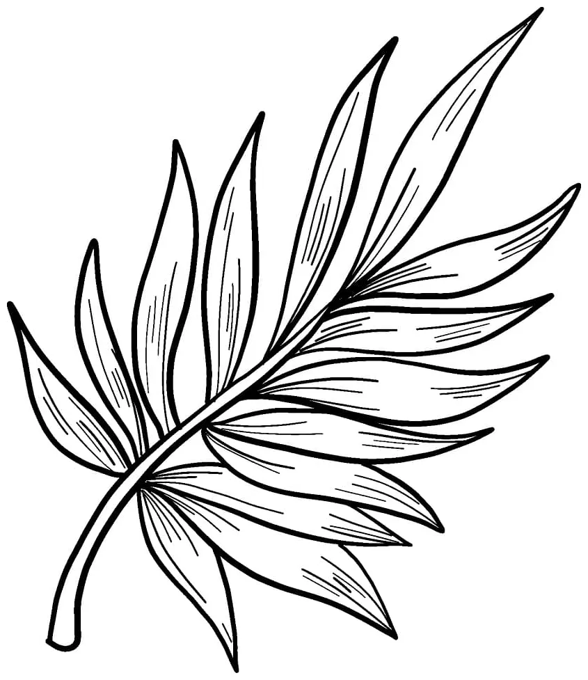 Daun palem 2