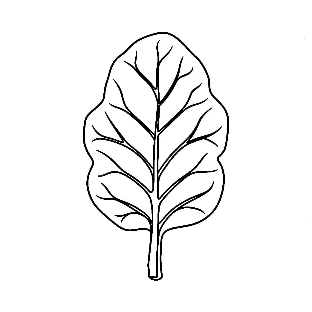Daun sayur bayam
