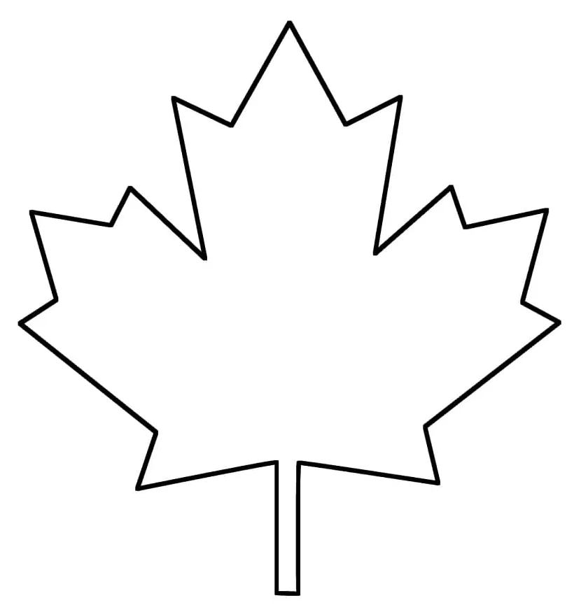 Daun maple 7