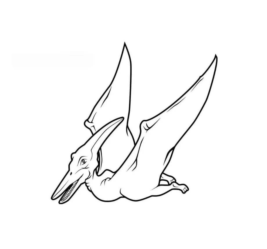 Pteranodon terbang
