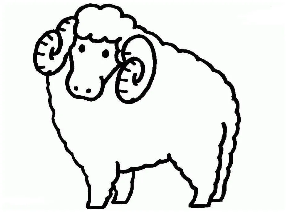 Menggambar domba