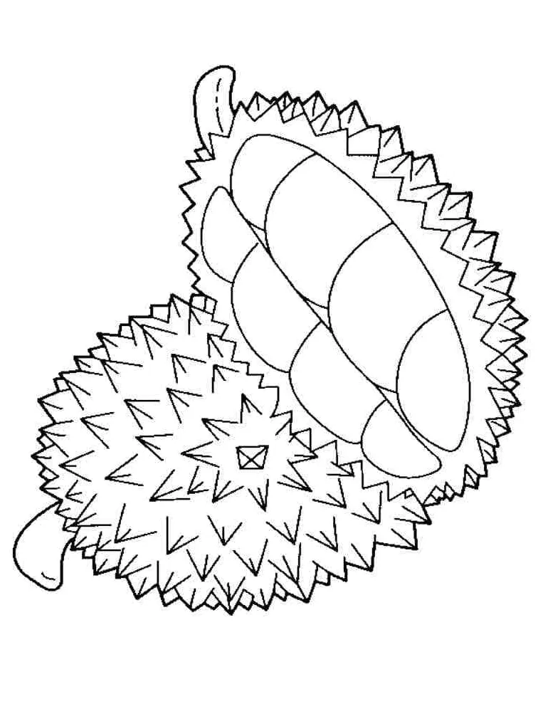 Durian dapat dicetak gratis