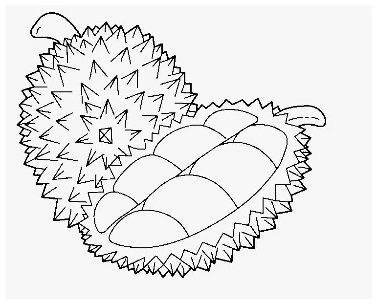 Gambar mewarnai √ kumpulan gambar mewarnai buah durian anak tk siap cetak