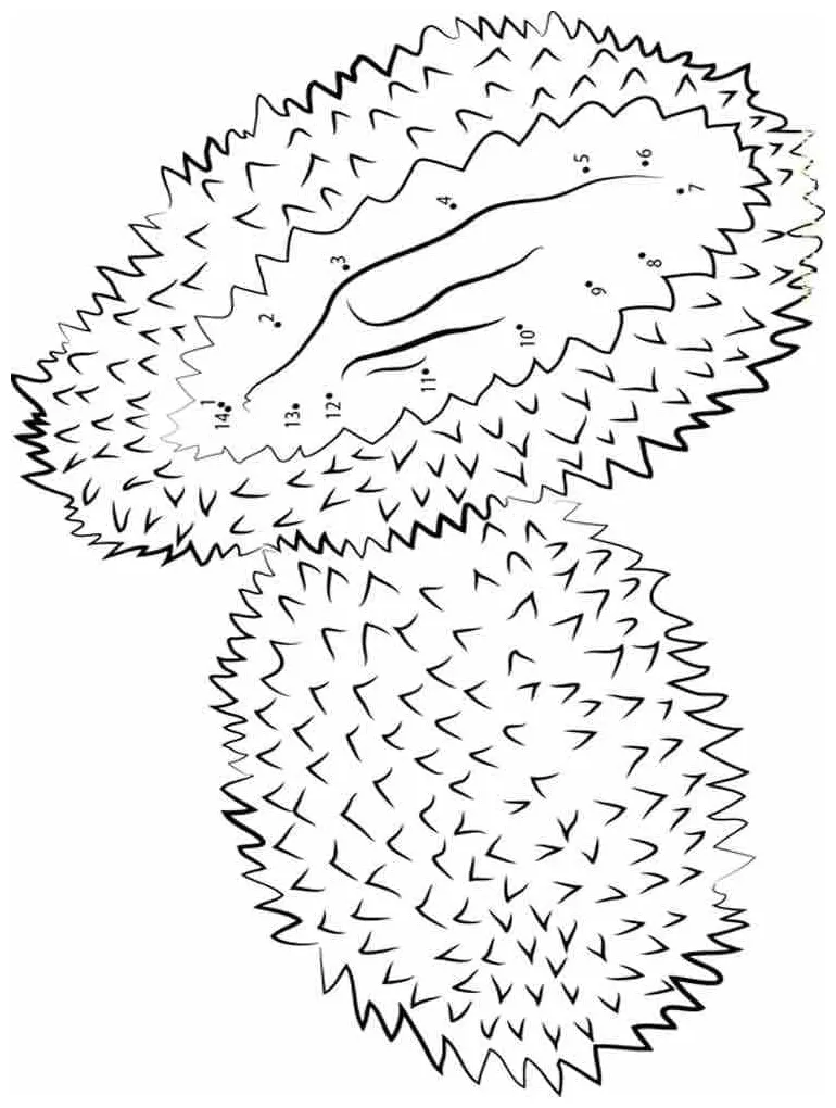 Dua durian