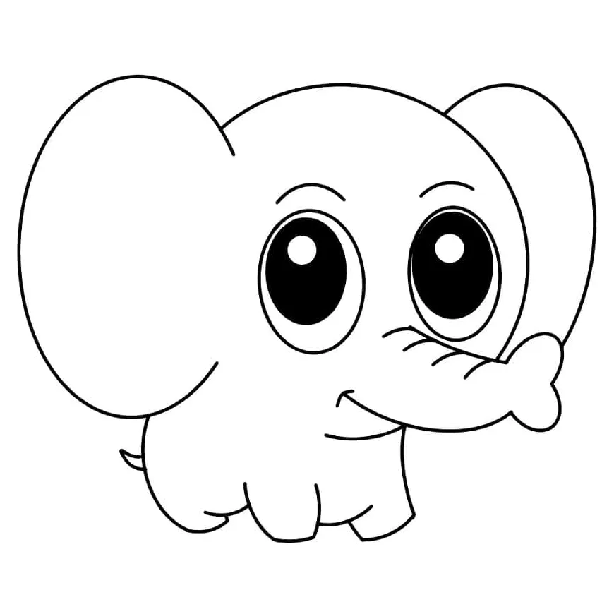 Bayi gajah yang lucu