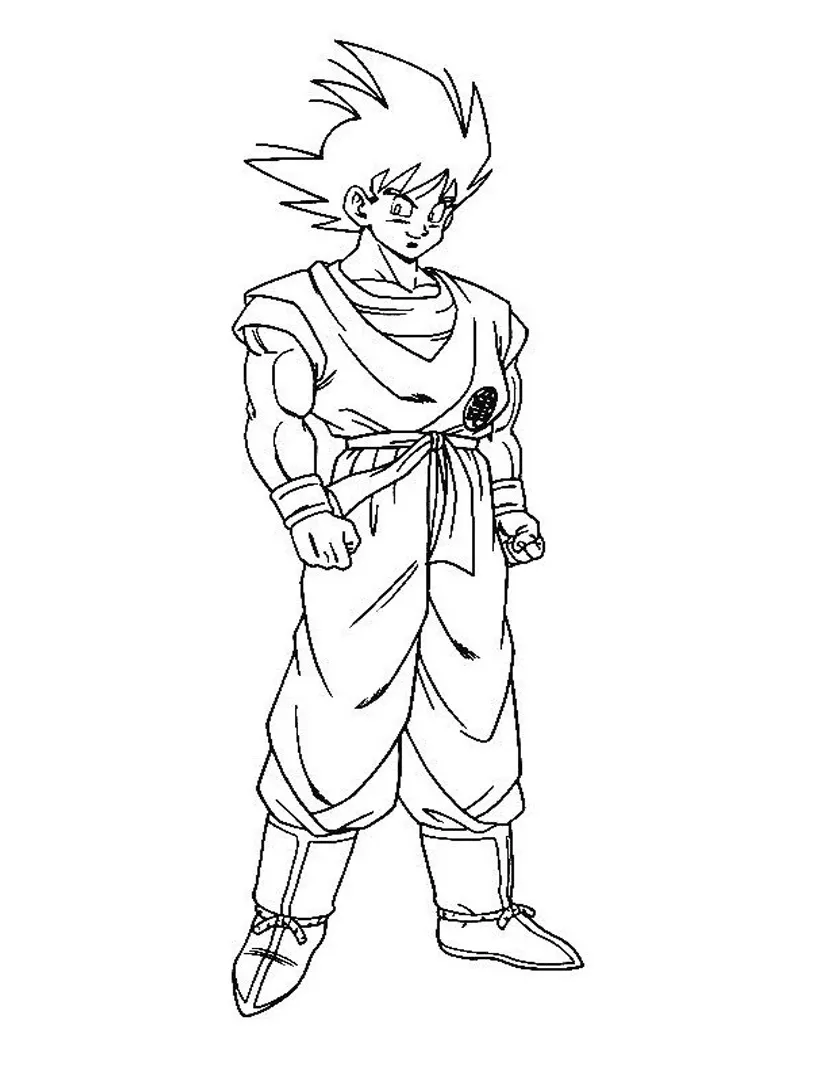 Dasar songoku