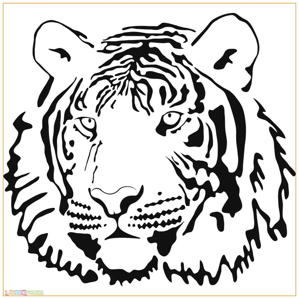√20+ mewarnai gambar harimau untuk tk, paud, sd marimewarnai