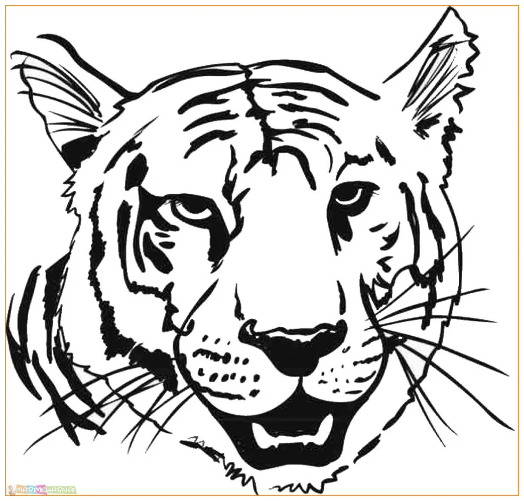 √20+ mewarnai gambar harimau untuk tk, paud, sd marimewarnai