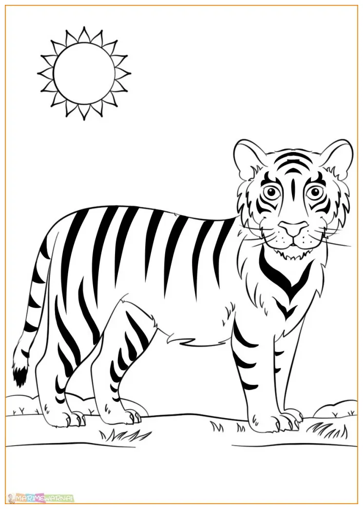 √20+ mewarnai gambar harimau untuk tk, paud, sd marimewarnai