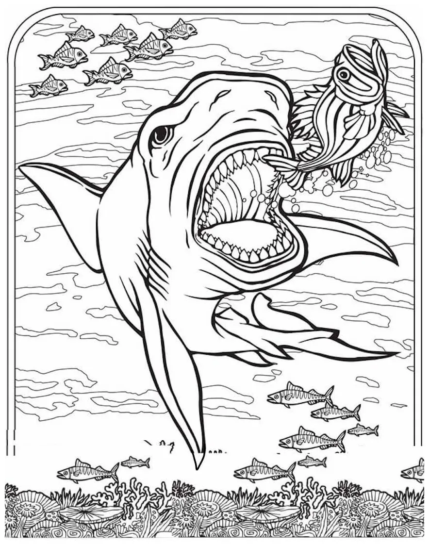 Ikan hiu makan