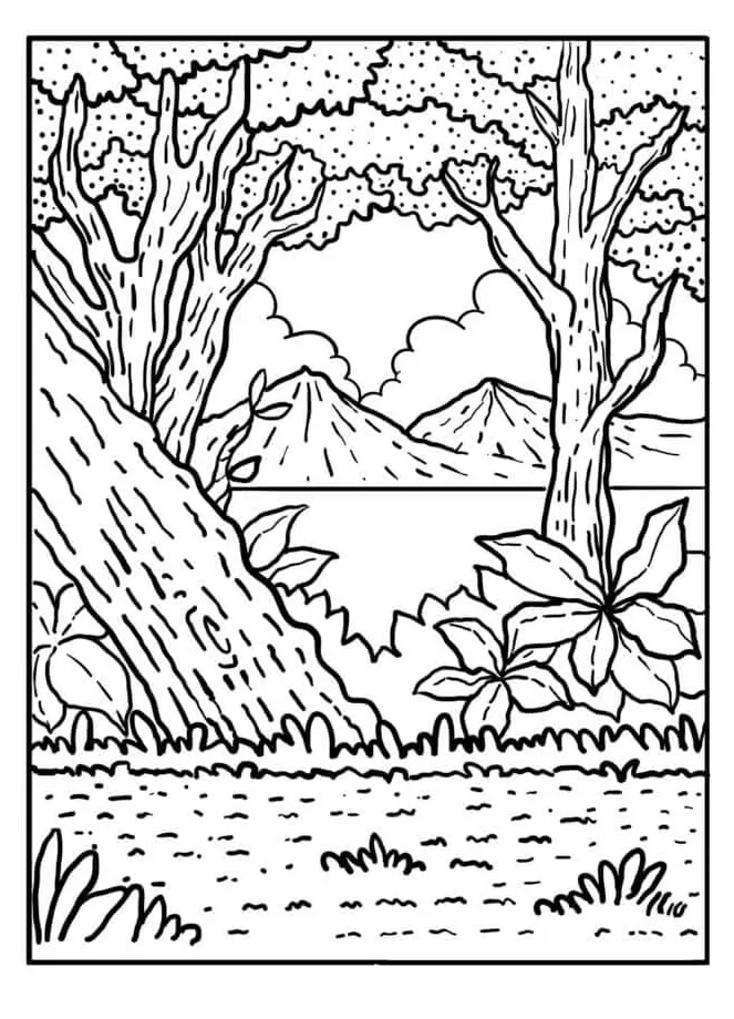 Hutan indah
