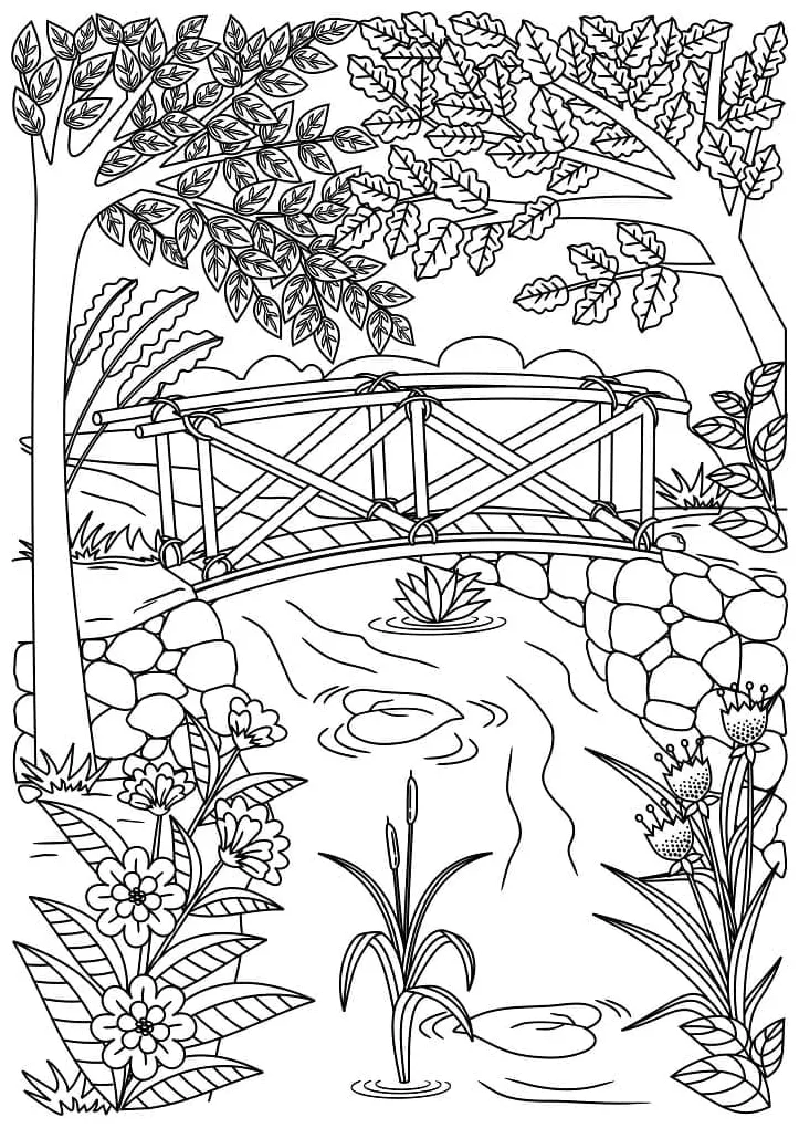 Landskap aliran hutan