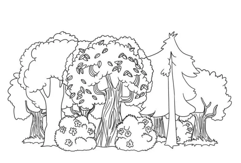 Hutan dasar