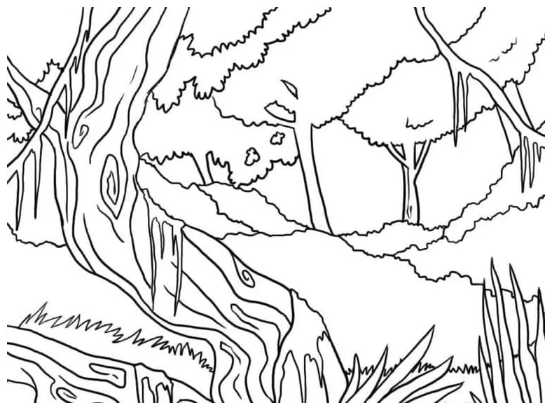 Hutan biasa