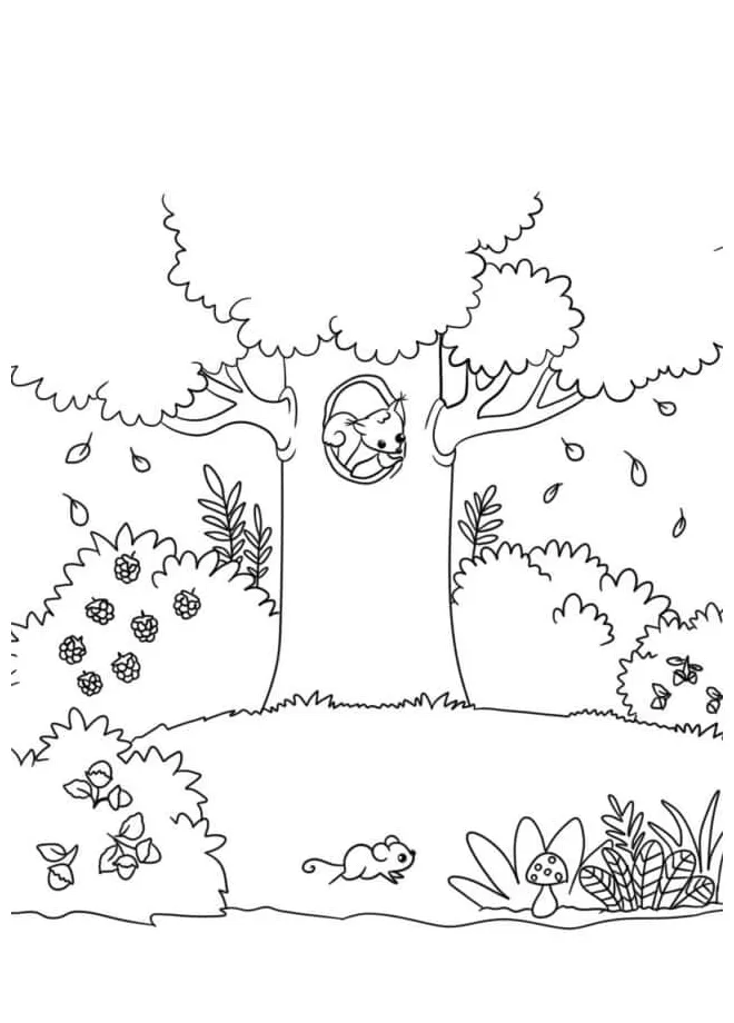 Hewan lucu di hutan