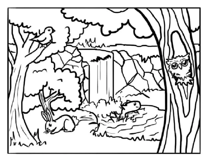 Belukar di hutan
